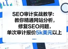 SEO审计实战教学：教你精通网站分析，修复SEO问题，单次审计报价5k美元以上
