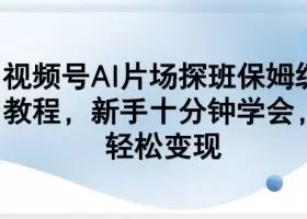 视频号AI片场探班保姆级教程，新手十分钟学会，轻松变现