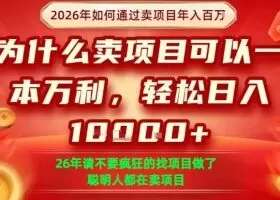 一单净利润1K+,26年想年入100个W,死磕卖项目就够了【揭秘】