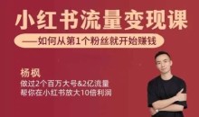 小红书流量变现课【视频：11节】