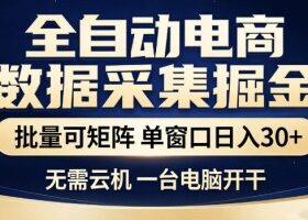 全自动电商数据集掘金，批量可矩阵，单窗口日入30+，无需云机，一台电脑开干【揭秘】