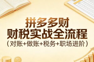 拼多多财税实战全流程(对账+做账+税务+职场进阶)