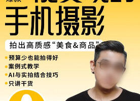金大力能变现的手机静物摄影系统课2025【画质不错只有视频】