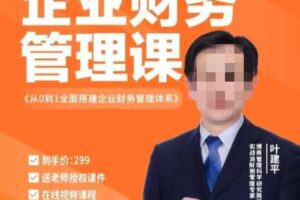 叶建平：从0到1全面搭建企业财务管理体系299元