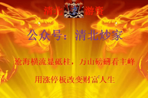 【清北游资】清北炒家竞价绝杀涨停板课程年度版2024.3-2025.12