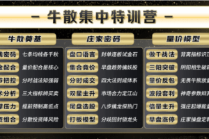 2025年袁博牛散特训营视频+资料+指标