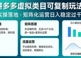 拼多多虚拟类目可复制玩法，实操落地，矩阵化日入稳定过千【揭秘】