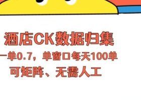 上班也能玩的酒店CK数据归集，一单0.7单窗口每天可做100单，一个人就能矩阵操作【揭秘】