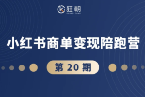 盗坤·抖音小红书视频号短视频带货与直播变现（11-21期）