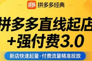 泓一老师·拼多多直线起店+强付费3.0（更新4月）