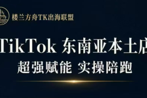 三叔·TikTok东南亚本土店实操（更5月）