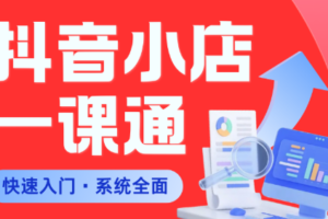 李老师·从0到1学会抖音小店系统课程