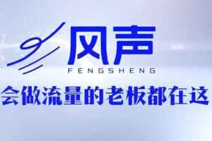 董十一·风声短视频AI获客年度会员