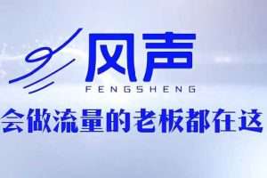 董十一·风声短视频AI获客年度会员