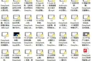 DeepSeek-R1V3实用教程零基础到实战高手,重塑你的高效职业生涯
