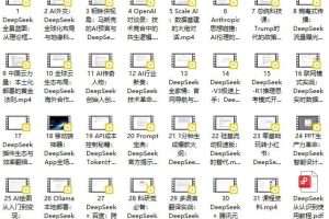DeepSeek-R1V3实用教程零基础到实战高手,重塑你的高效职业生涯