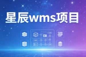 星辰wms项目