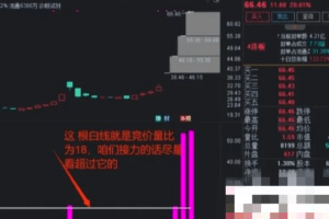 通达信【历史竞价量比】竞价排序 量比为王 副图排序/选股