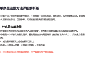 红泡泡冲：大单净量选票方法详细解析版 1PDF