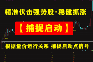 精准伏击强势股・稳健抓涨【捕捉启动】根据量价运行关系 捕捉启…