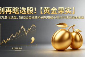 别再瞎选股!【黄金果实】主力潜伏洗盘指标,短线出击稳赚不踩坑电脑手…