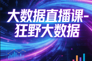 大数据直播课-狂野大数据