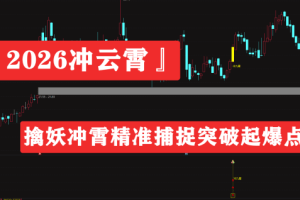 【2026冲云霄】套装擒龙指标精准捕捉突破起爆点电脑手机均可使用 无未…