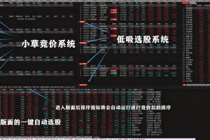 竞价接力系统【小草竞价低吸二合一选股系统】暗盘资金 一键选股