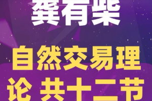 龚有柴自然交易理论