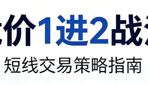 竞价1进2战法，1进2执行策略，疑点解答