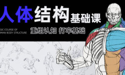 画画的春哥第18期人体结构基础课【画质高清只有视频】