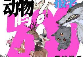 紫松鼠你想画动物吗2026小动物团练课【画质高清有课件】