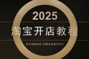 老邓电商·淘宝开店运营教程直通车，从基础到进阶，提升店铺流量，转化…