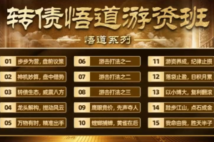 可转债悟道游资班出奇系列悟道系列守正系列课程-卓妍