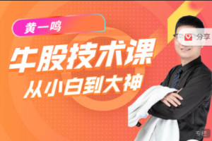 黄一鸣《牛股技术》实操课 15节