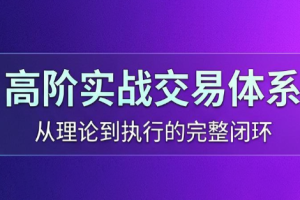 高老师·高阶实战交易体系（更新6月）