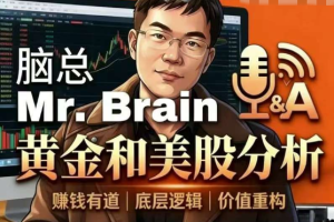 脑总Mr.Brain黄金美股投资分析课程