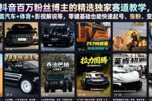 抖音百万粉丝博主的精选独家赛道教学，涵盖汽车+体育+影视解说等，零基…