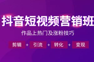 抖音短视频运营班，一门课学会作品上热门及涨粉技巧，引流转化剪辑变现…
