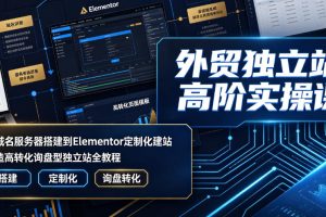 外贸独立站高阶实操课|从域名服务器搭建到Elementor定制化建站,打造…