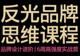 【缺】反光Studio思维品牌7.0课程2026【画质不错只有视频】