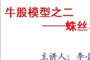牛股模型之二蛛丝马迹－－李小龙