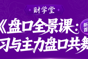 雨禾《盘口全景课：学习与主力盘口共舞》盘口系统课