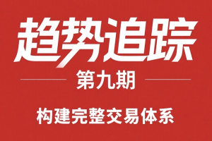 《趋势追踪》精华版（九期）构建完整交易体系 期货课程