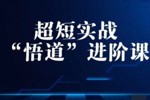 超短实战“ 悟道”进阶课