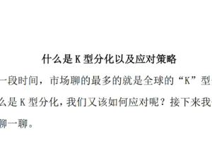 g界孙悟空7.28【授人以渔系列】什么是K型分化以及应对策略 1文档