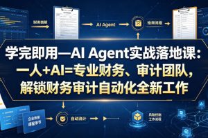 学完即用—AI Agent实战落地课：一人+AI=专业财务、审计团队，解锁财务…