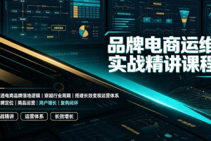 品牌电商运维实战精讲课程｜吃透电商品牌落地逻辑、穿越行业周期、搭建…