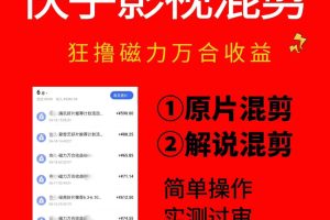 快手影视混剪项目，狂撸磁力万合收益，简单操作，实测过审，有一键拍同…
