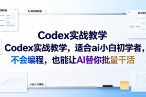 Codex实战教学,适合ai小白初学者,不会编程,也能让AI替你批量干活